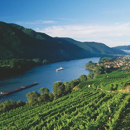레헨스테이너와차우 In Der Wachau 아파트 외부 사진
